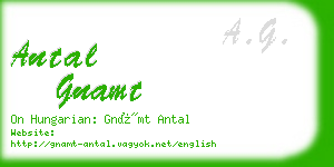 antal gnamt business card